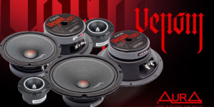 Акция! Готовь музыку зимой!